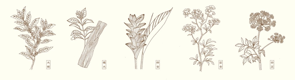 Herbscent香薰品牌形象設(shè)計