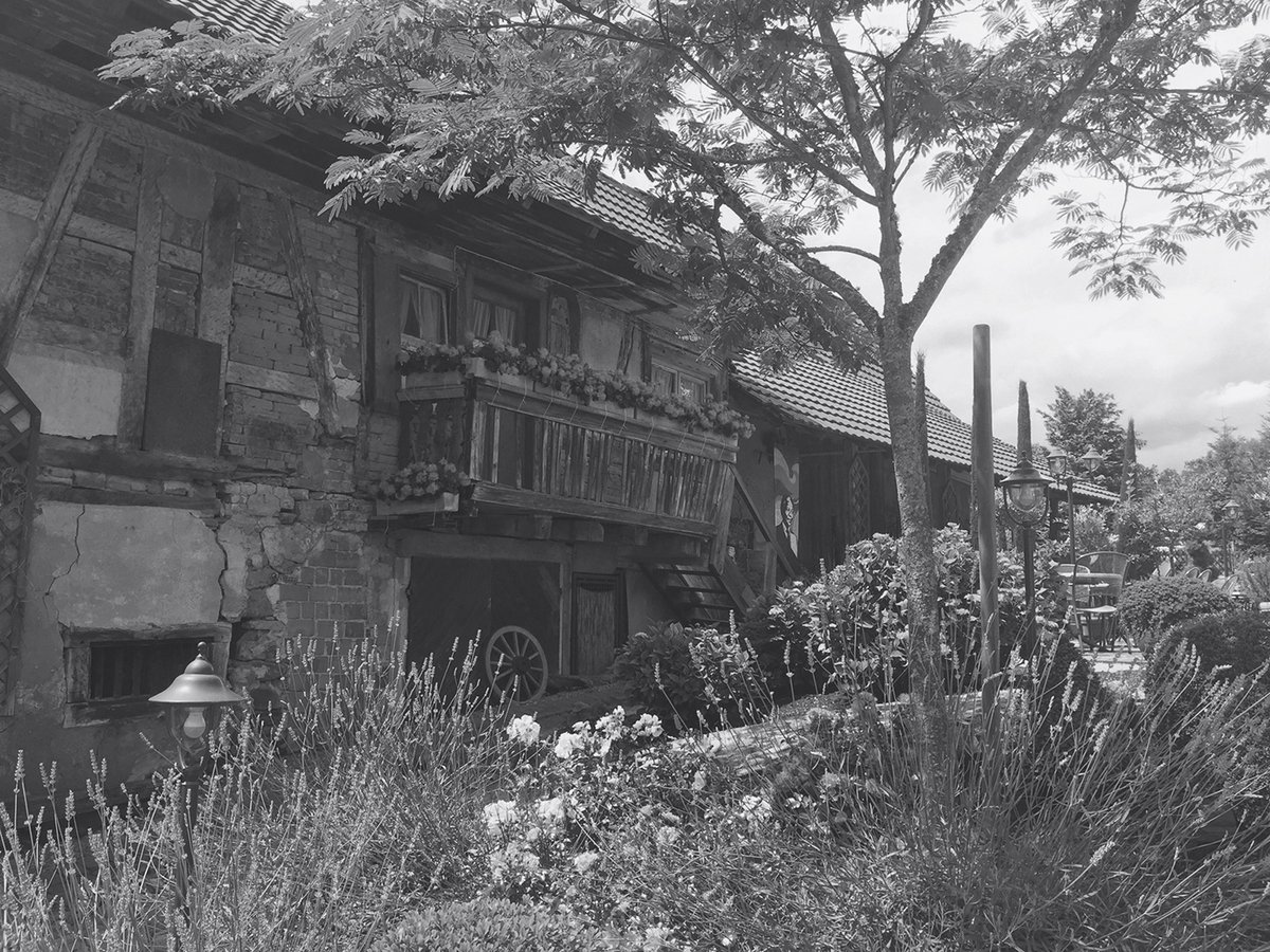 德國(guó)餐廳（餐飲）品牌標(biāo)志設(shè)計(jì)和品牌設(shè)計(jì)&mdash;&mdash;logo與馬牧場(chǎng)背景相關(guān)，品牌設(shè)計(jì)，餐飲品牌設(shè)計(jì)，餐飲logo設(shè)計(jì)，餐廳品牌設(shè)計(jì)，品牌標(biāo)志設(shè)計(jì)，深圳品牌設(shè)計(jì)