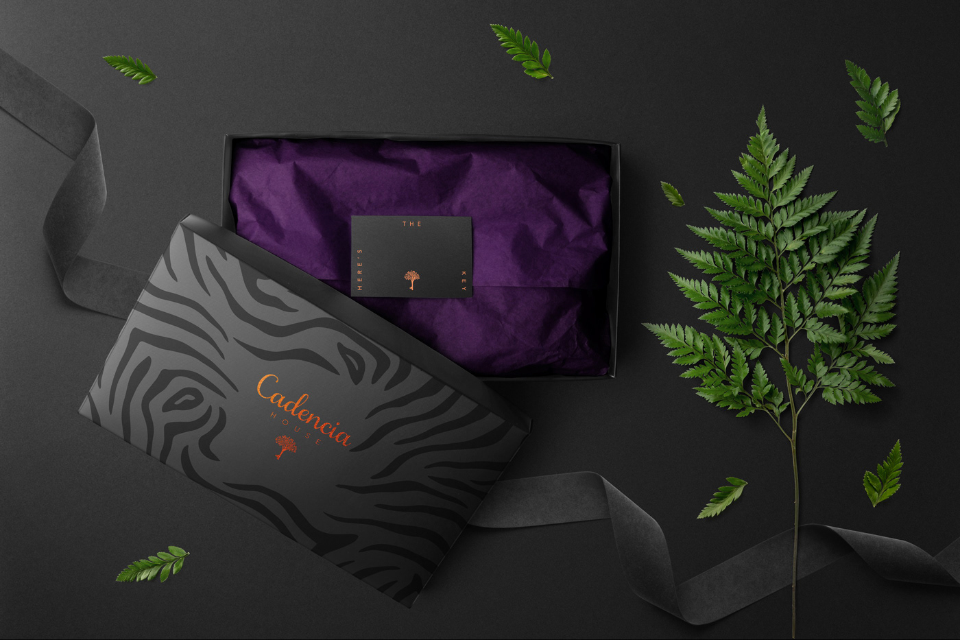 Cadencia時尚服裝品牌設(shè)計案例和品牌營銷，服裝品牌形象設(shè)計，品牌營銷，深圳品牌設(shè)計，左右格局