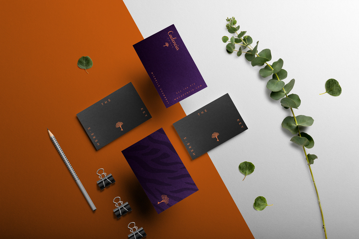 Cadencia時尚服裝品牌設(shè)計案例和品牌營銷，服裝品牌形象設(shè)計，品牌營銷，深圳品牌設(shè)計，左右格局