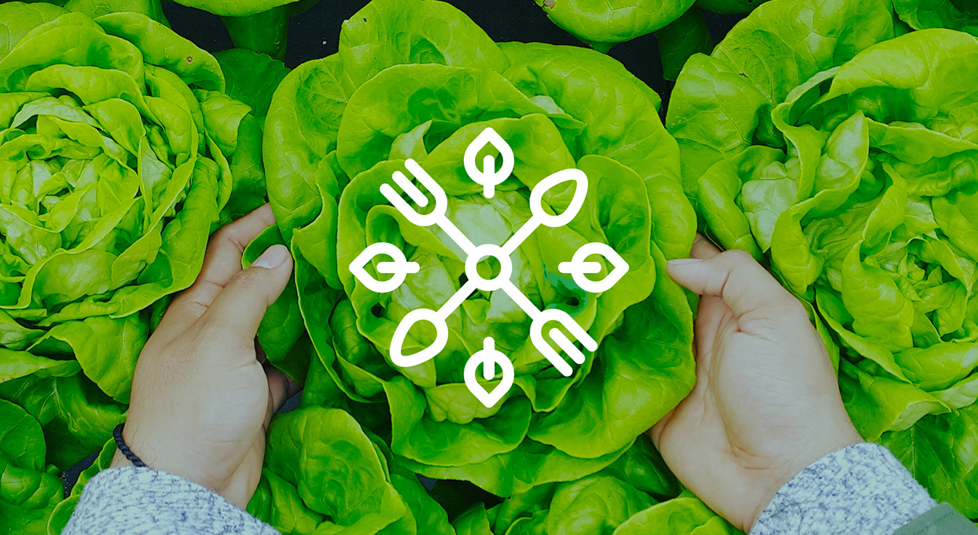 Grassroots 優(yōu)質(zhì)食品企業(yè)品牌形象設(shè)計，食品品牌設(shè)計，食品品牌策劃，深圳品牌設(shè)計，左右格局